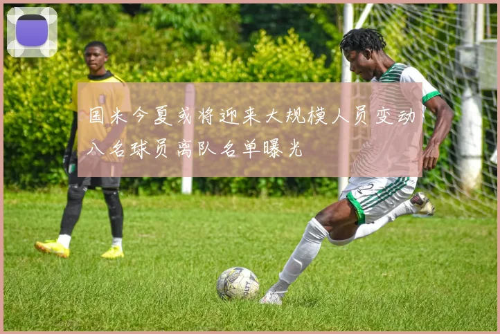 国米今夏或将迎来大规模人员变动八名球员离队名单曝光