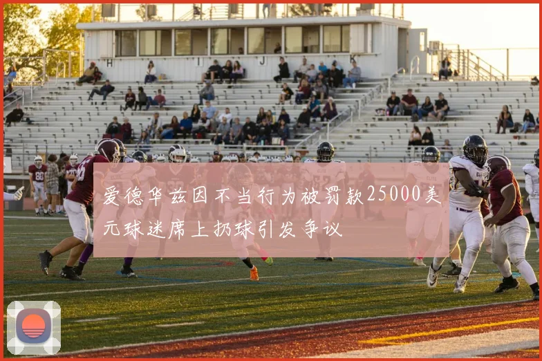 爱德华兹因不当行为被罚款25000美元球迷席上扔球引发争议